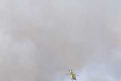 Incendio-a-Tor-di-Valle-2026-08-05-at-14.23.01