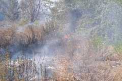 Incendio-a-Tor-di-Valle-2026-08-05-at-14.23.02-1