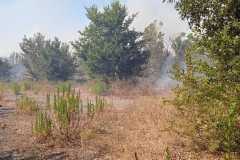 Incendio-a-Tor-di-Valle-2026-08-05-at-14.23.02-2
