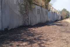 Incendio-a-Tor-di-Valle-2026-08-05-at-14.23.02-3