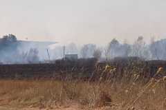 Incendio-a-Tor-di-Valle-2026-08-05-at-14.23.02-4