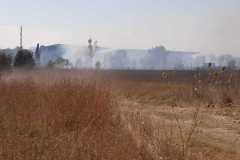 Incendio-a-Tor-di-Valle-2026-08-05-at-14.23.02-5