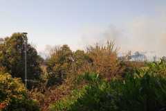 Incendio-a-Tor-di-Valle-2026-08-05-at-14.23.03-2