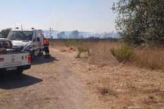 Incendio-a-Tor-di-Valle-2026-08-05-at-14.23.03