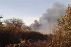 Incendio-Tor-di-Valle-2026-08-05-at-19.55.05-1