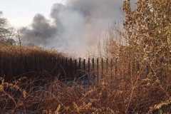 Incendio-Tor-di-Valle-2026-08-05-at-19.55.05-2