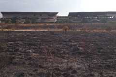Incendio-Tor-di-Valle-2026-08-05-at-19.55.05-3