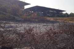 Incendio-Tor-di-Valle-2026-08-05-at-19.55.06-2