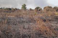 Incendio-Tor-di-Valle-2026-08-05-at-19.55.06-4