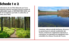 Diapositiva7