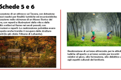 Diapositiva9