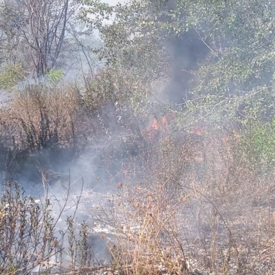 Incendio area di Tor di Valle